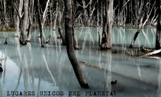 Lugares únicos del Planeta